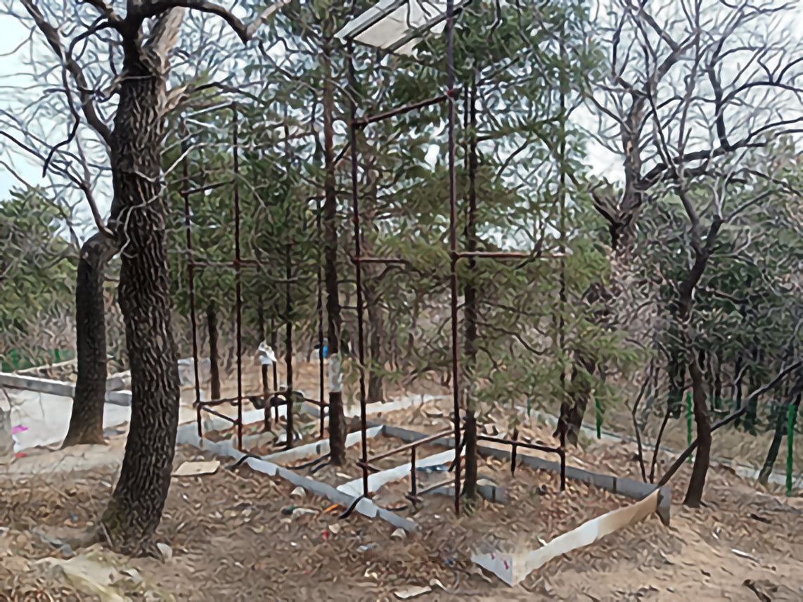 鹫峰生态公园植物液流监测仪器安装完成