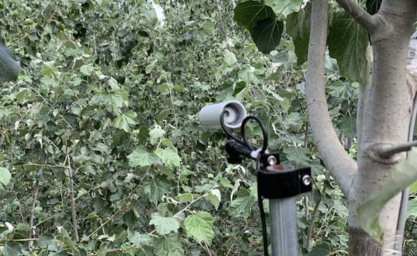 G3073植物冠层温度观测系统